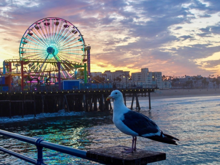 Santa Monica Sunset